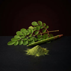 Extracto de Moringa
